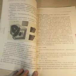 电脑图文设计 数字时代的视觉沟通艺术